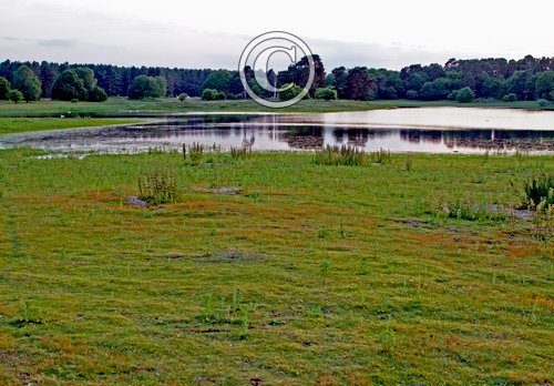 Langmere Breckland Norfolk DM2171